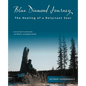 Blue Diamond Journey: The Healing of a Reluctant Seer - Paperback