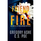A Friend in the Fire - Paperback