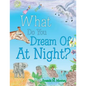 What Do You Dream of at Night? - Paperback