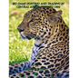 Big-game hunting and trading in Central Africa 1894 to 1904 - Paperback