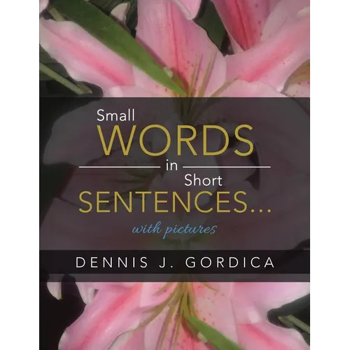 Small Words in Short Sentences...with pictures - Paperback