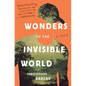 Wonders of the Invisible World - Paperback