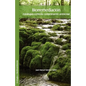 Biorremediacion. Estrategias Contra La Contaminacion Ambiental - Paperback