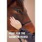 Reiki For The Quarter Horse - Paperback