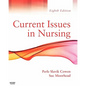 Current Issues in Nursing - Paperback