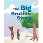 The Big Brother Story - Paperback