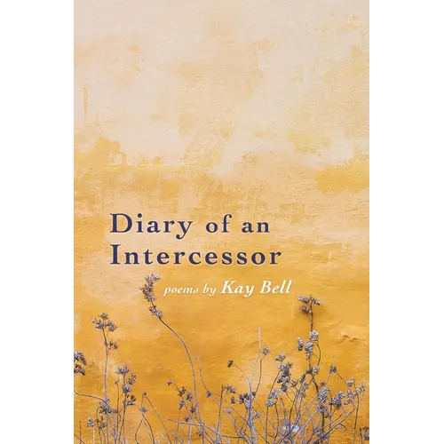 Diary of an Intercessor - Paperback