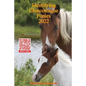 Identifying Chincoteague Ponies 2022 - Paperback
