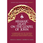 Aramaic Light on the Gospel of John - Paperback