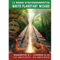 13 Moon Synchronometer: White Planetary Wizard year: July 26 2015 - July 25 2016 - Paperback