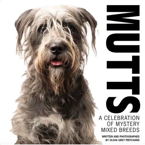 Mutts: A Celebration of Mystery Mixed Breeds - Hardcover