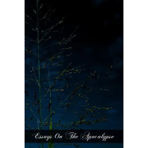 Essays On The Apocalypse - Paperback