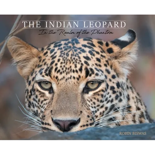 The Indian Leopard: In the Realm of the Phantom - Hardcover