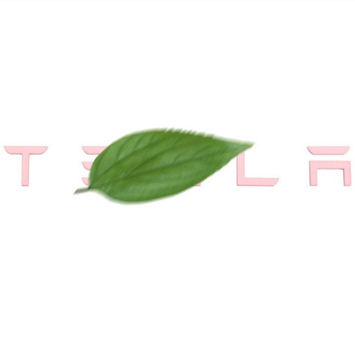 Tailgate Lettered Rear Logo Replacement For Tesla Model 3/Y
