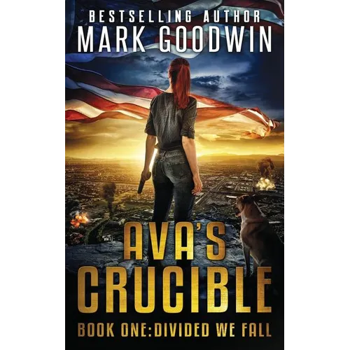 Divided We Fall: A Novel of the Coming Civil War in America - Paperback