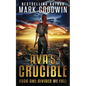 Divided We Fall: A Novel of the Coming Civil War in America - Paperback