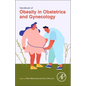 Handbook of Obesity in Obstetrics and Gynecology - Paperback
