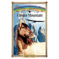 Condor Mountain: Sometimes Horses Need a Little Magic - Paperback