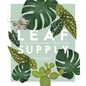 Leaf Supply: A Guide to Keeping Happy House Plants - Hardcover