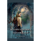 Destiny's Journey Fate or Faith - Paperback