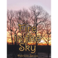 Fire in the Sky - Hardcover