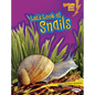 Let's Look at Snails - Paperback