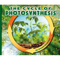 The Cycle of Photosynthesis - Library Binding