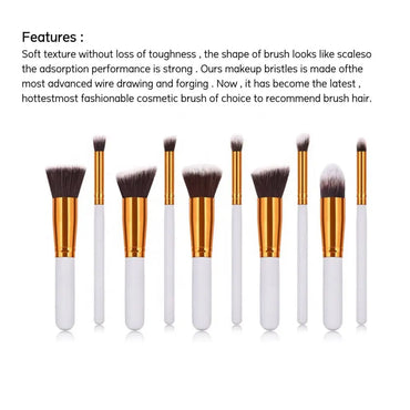Ten Piece Makeup Brush Set with Maroon Case