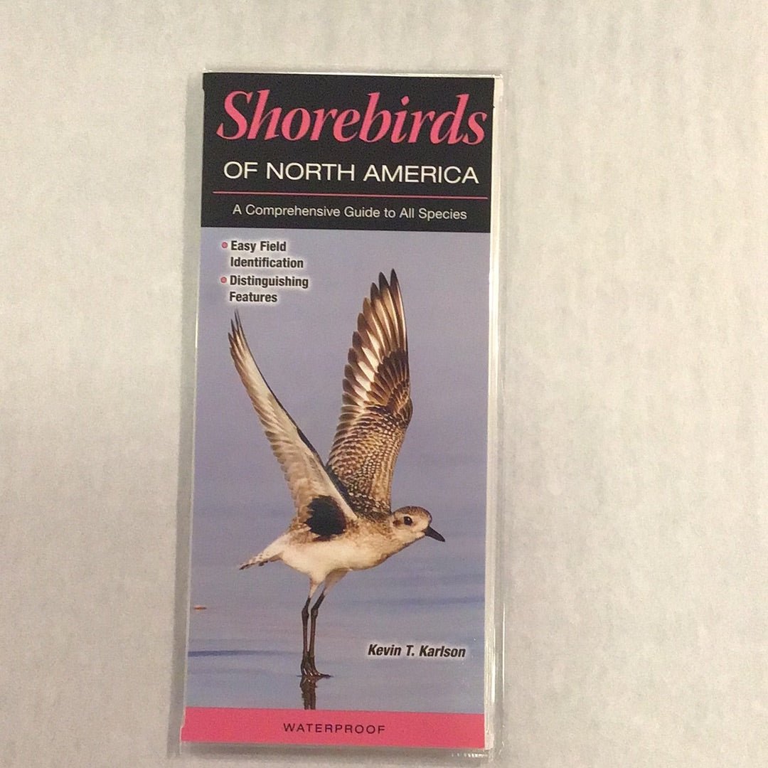 Texas Guide Pamphlets