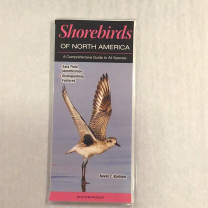 Texas Guide Pamphlets