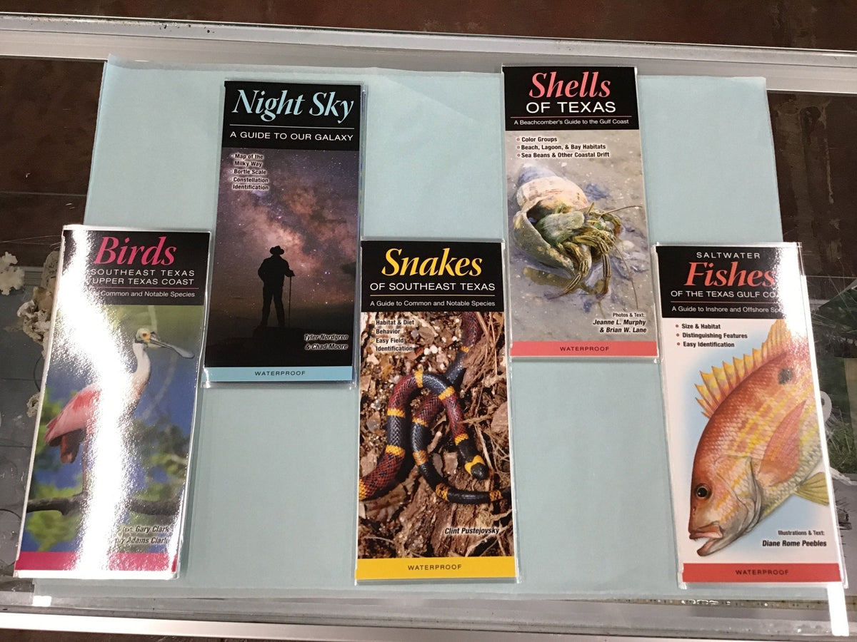 Texas Guide Pamphlets