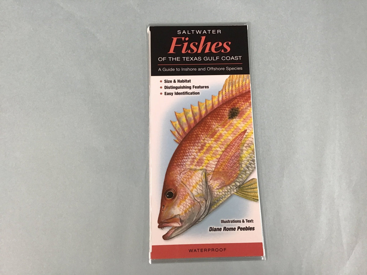 Texas Guide Pamphlets