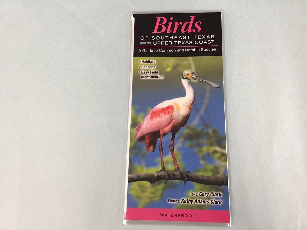 Texas Guide Pamphlets