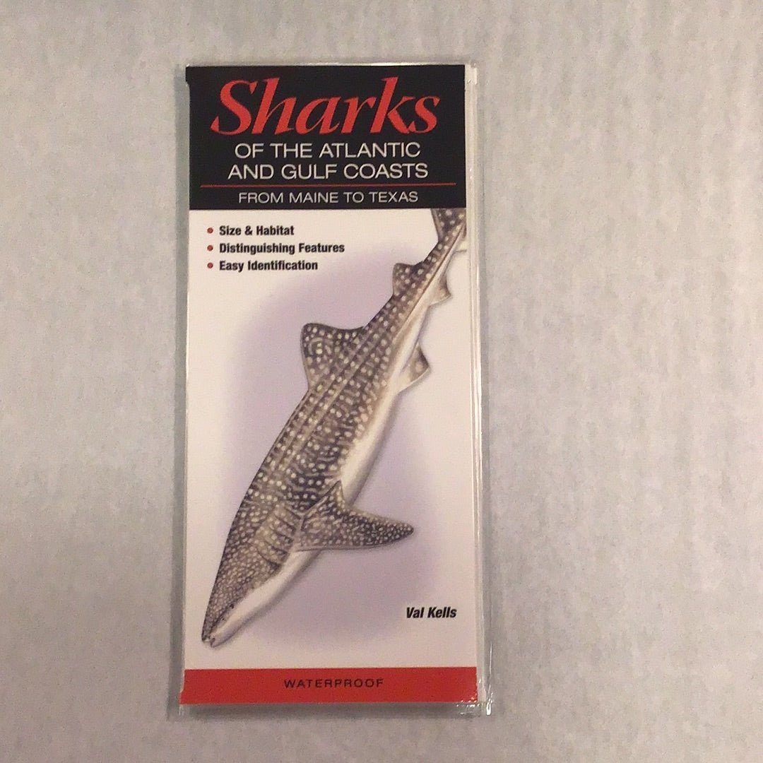 Texas Guide Pamphlets