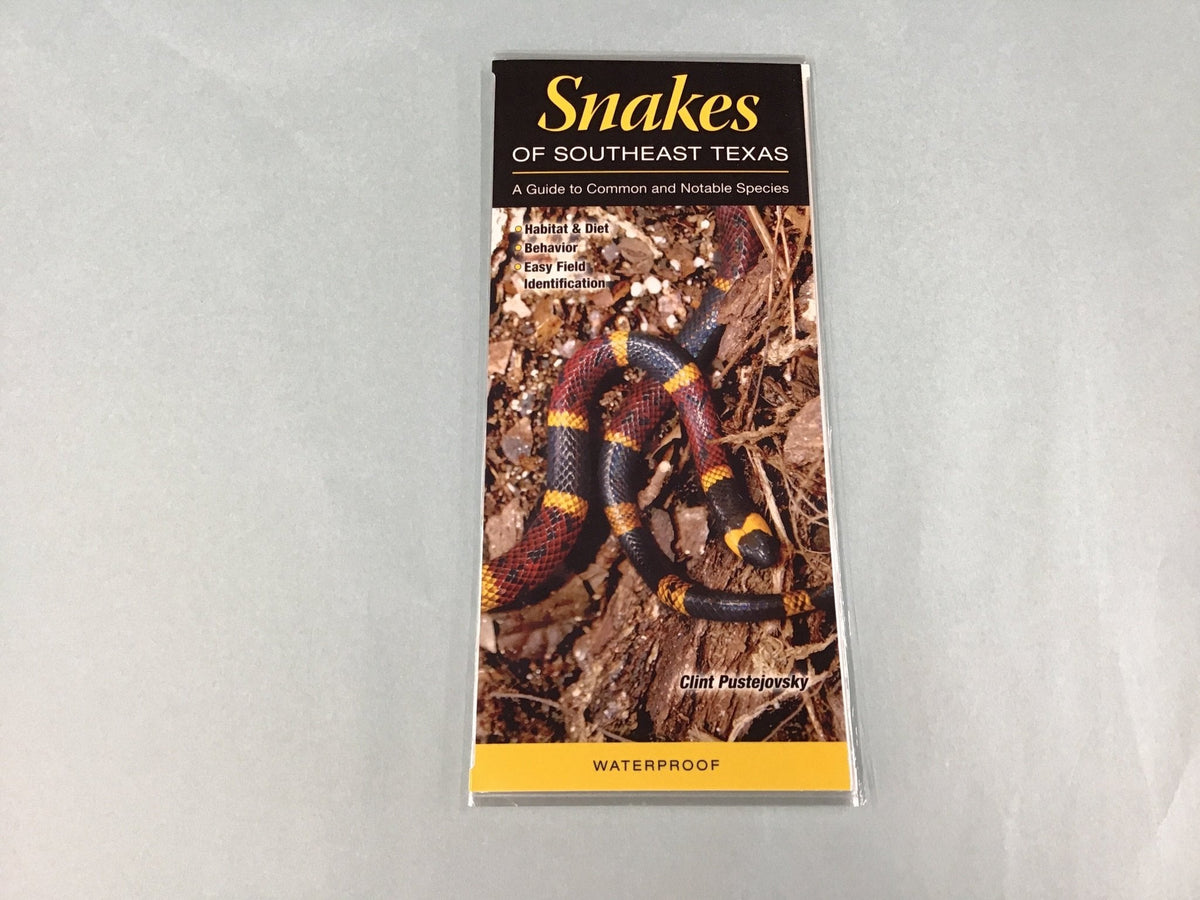 Texas Guide Pamphlets