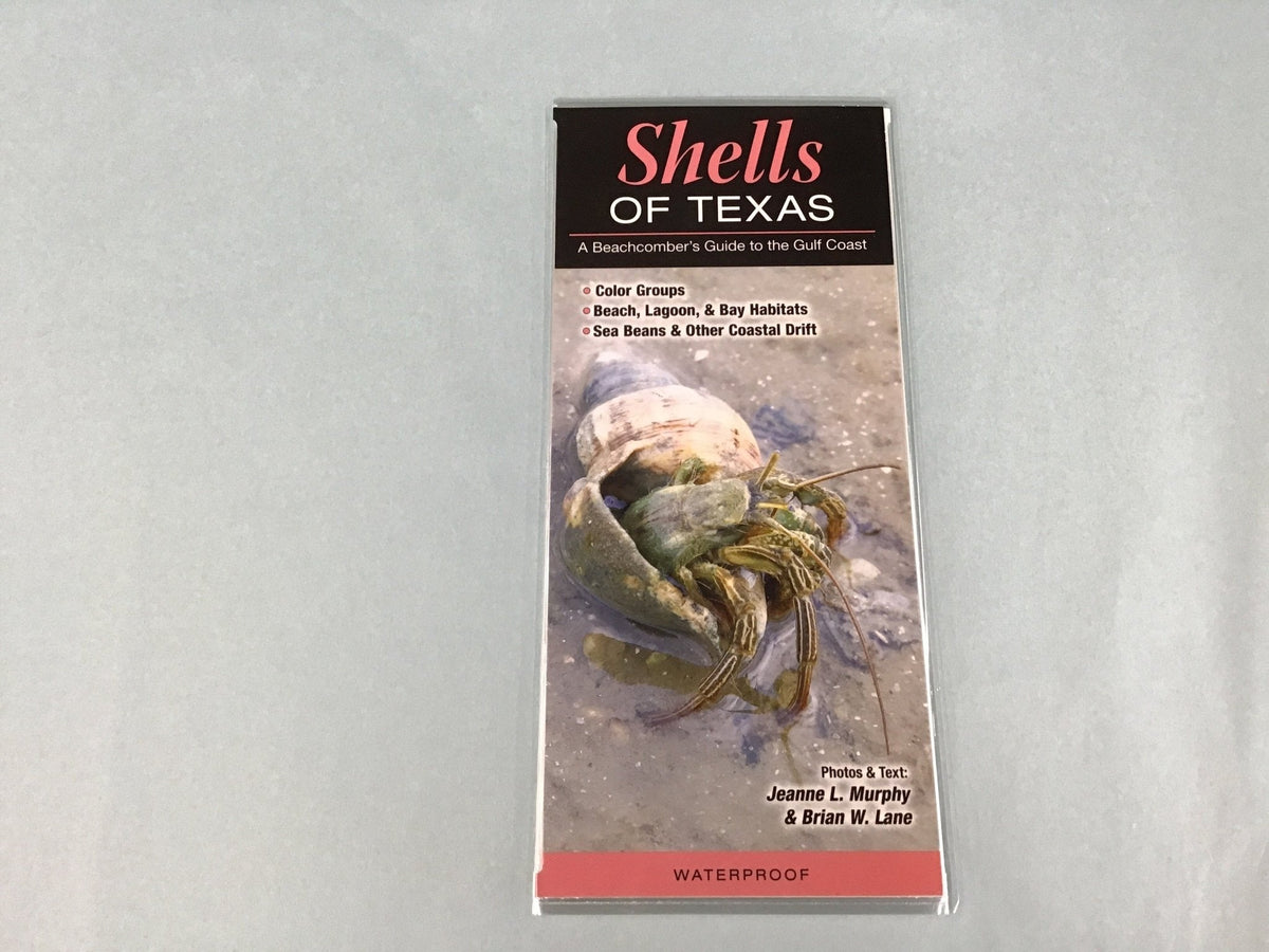 Texas Guide Pamphlets