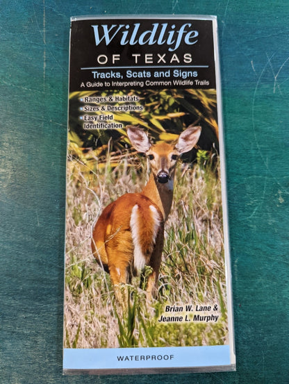 Texas Guide Pamphlets