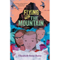 Flying Up the Mountain - Paperback