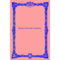 Stories From the Catechist - Paperback