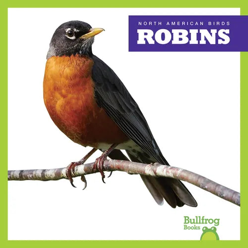 Robins - Paperback