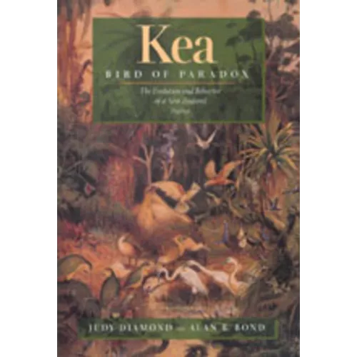 Kea, Bird of Paradox: The Evolution and Behavior of a New Zealand Parrot - Hardcover