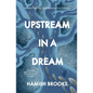 Upstream in a Dream: Births, deaths, fatherhood, fly fishing - Paperback