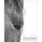 Wild Horses of Cumberland Island - Hardcover