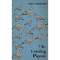 The Homing Pigeon - Hardcover