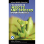 National Wildlife Federation Field Guide to Insects and Spiders & Related Species of North America - Paperback