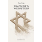 What We Did to Weinstein - Paperback
