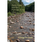 Dolly Copp and the Pioneers of the Glen - Paperback