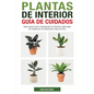 Plantas de Interior - Guía de Cuidados: Descubre Cómo Mantener tus Plantas Naturales en Óptimas Condiciones Todo el Año - Paperback