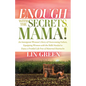 Enough with the Secrets, Mama: An Immigrant Woman's Story of Overcoming Failure, Equipping Women with the Skills Needed to Enjoy a Fruitful Life Free - Paperback