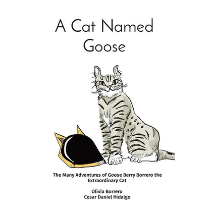 A Cat Named Goose: The Many Adventures of Goose Berry Borrero the Extraordinary Cat Olivia Borrero Cesar Daniel Hidalgo - Paperback